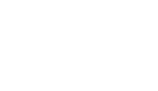 XNOXNO Chess